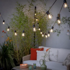 Warm White Festoon String Lights 30 Bulbs